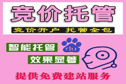 百度广告推广案例：拓展市场份额